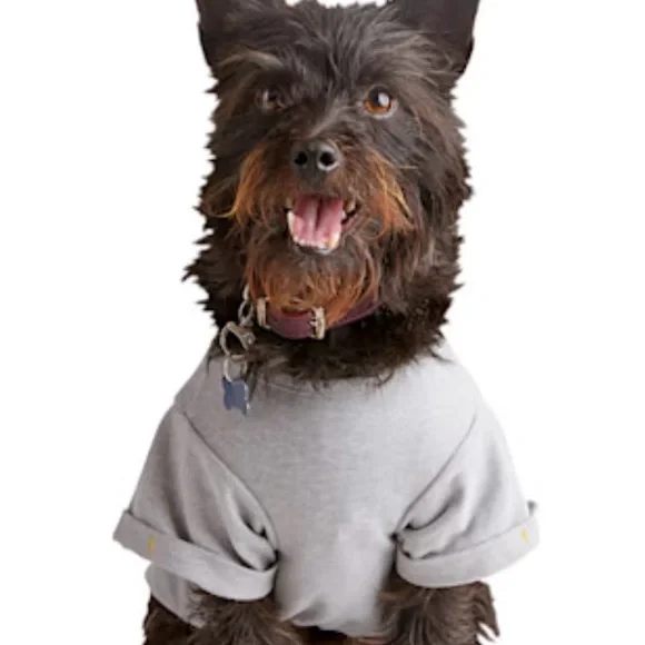 Xsmall all for love love for all dog shirt - Picture 4 of 8